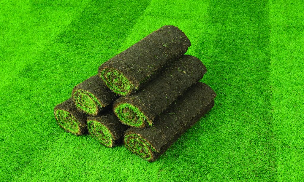 Plastic-Free – All turf is not the same