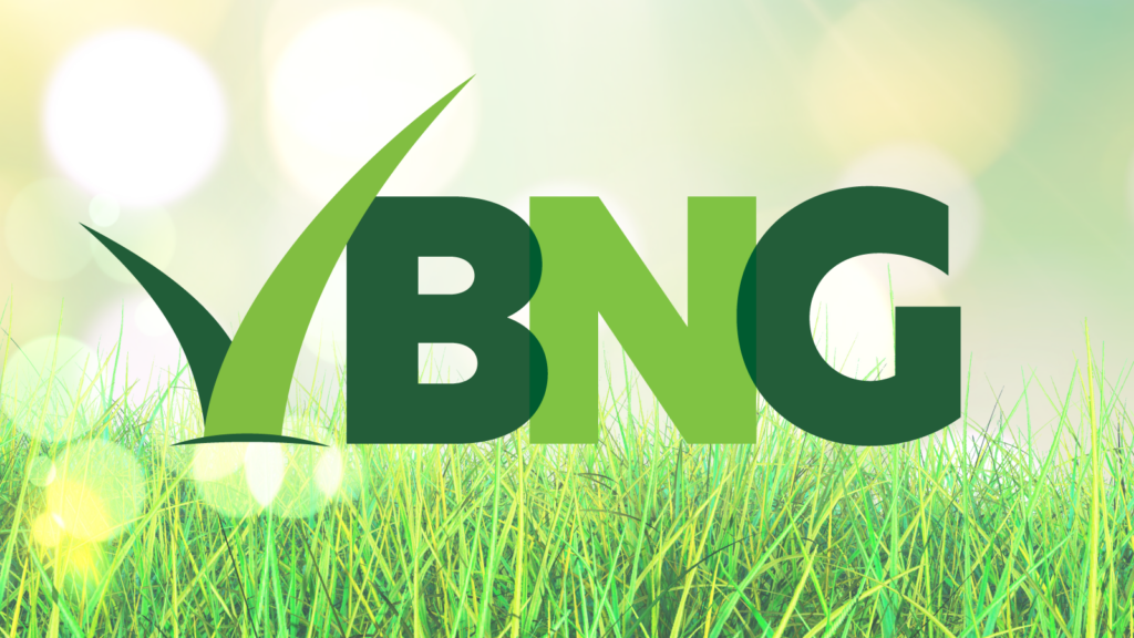 The Harrowden Bughouse – A Simple BNG Solution