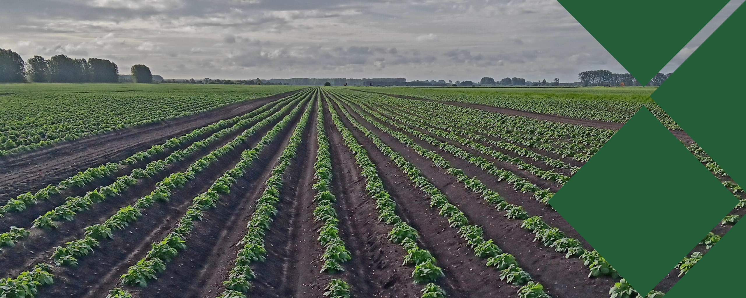 The UK Pesticide Picture