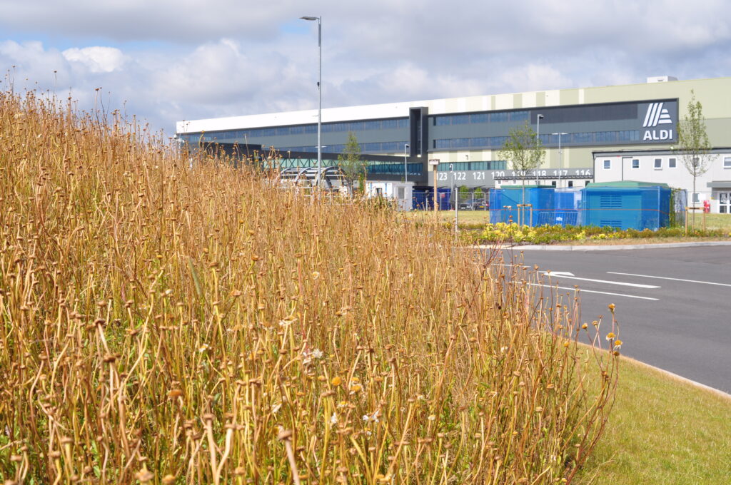 Aldi @ Nailstone