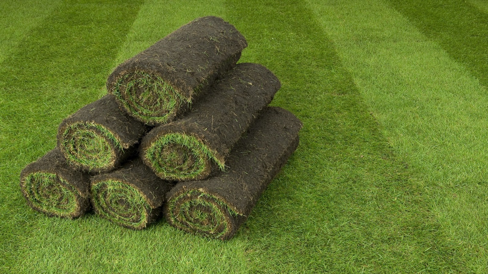 Plastic-Free – All turf is not the same