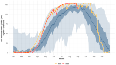 Efficiency and Resilience