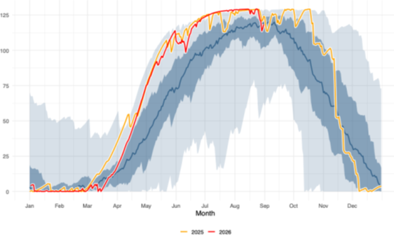 Efficiency and Resilience