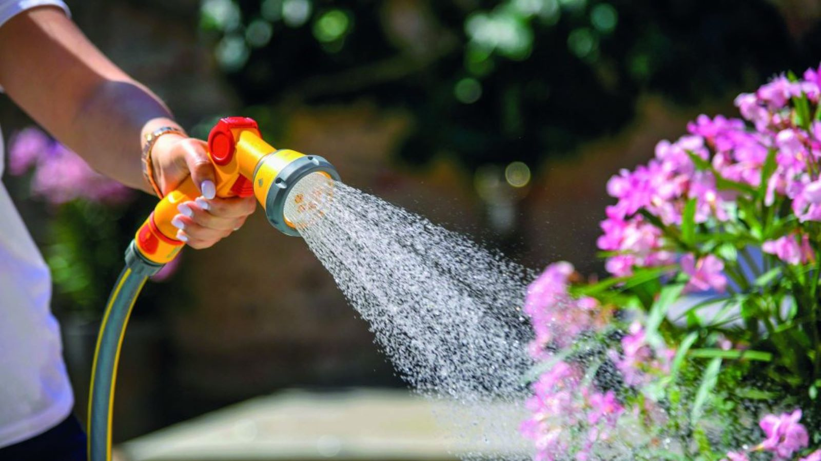 Hosepipe Ban 2026